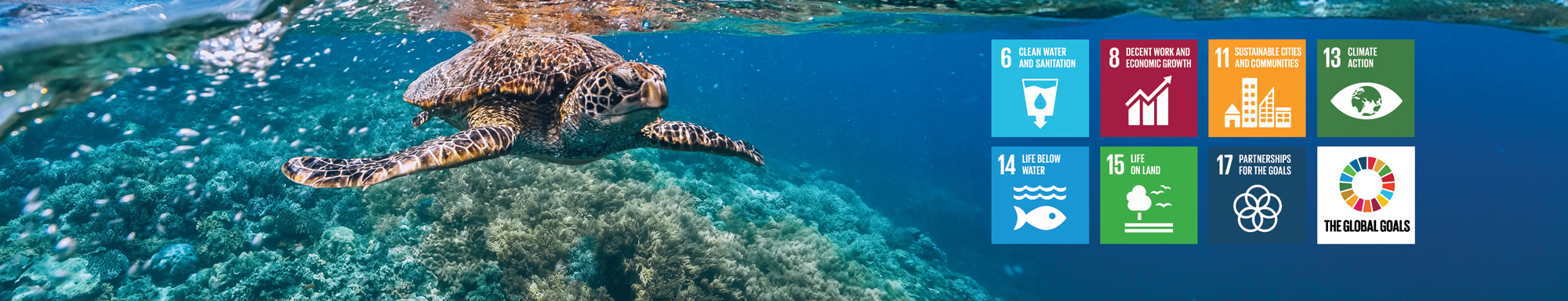 Sea turtle swimming over coral reef with Global Goals icons for sustainability displayed.