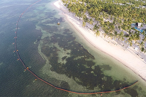 Coastal aerial view with a floating barrier near a palm-lined beach.