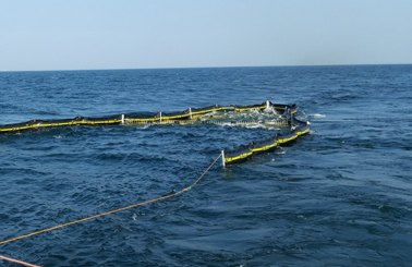 DESMI oil containment boom in ocean, managing spill control and cleanup efforts.