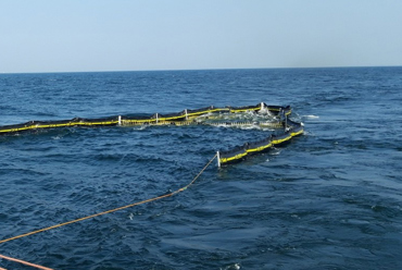 DESMI oil containment boom in ocean, managing spill control and cleanup efforts.