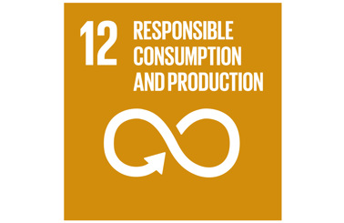 UN Sustainable Development Goal 12: Responsible Consumption and Production icon.