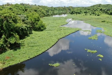 River with green vegetation and clear blue sky reflected in water.