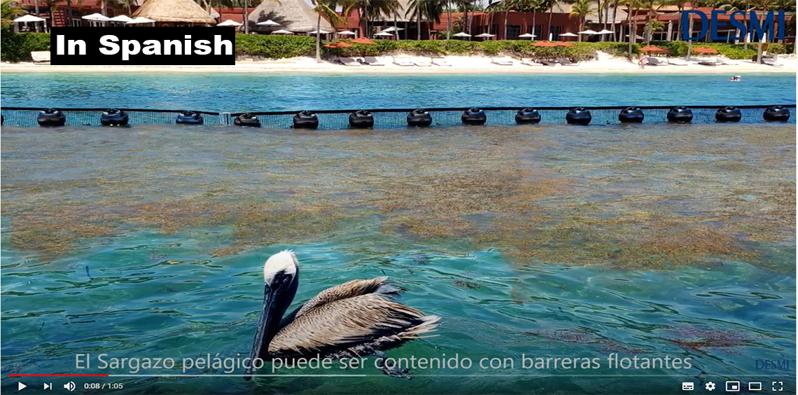 Pelican near floating barrier containing sargassum in tropical waters. DESMI logo visible.
